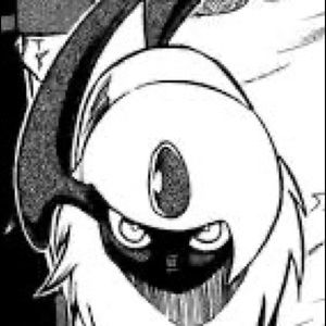 Meet your Posher, Brady